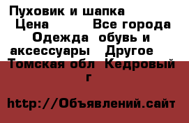 Пуховик и шапка  Adidas  › Цена ­ 100 - Все города Одежда, обувь и аксессуары » Другое   . Томская обл.,Кедровый г.